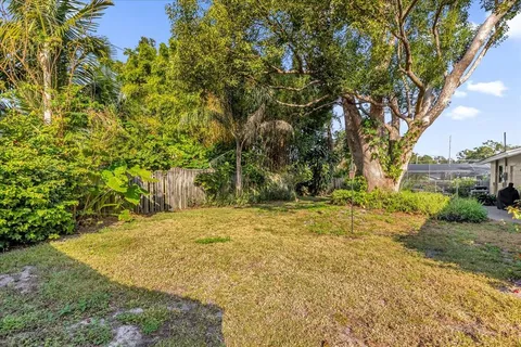 a view of a yard with plants and trees