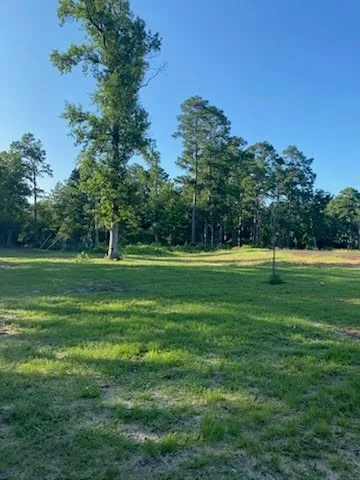 a view of a park with a big yard and large trees