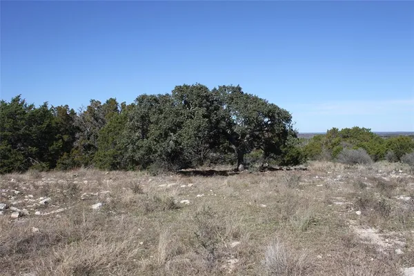 a view of a covered with trees in the background