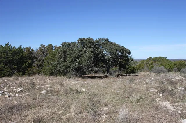 a view of a covered with trees in the background