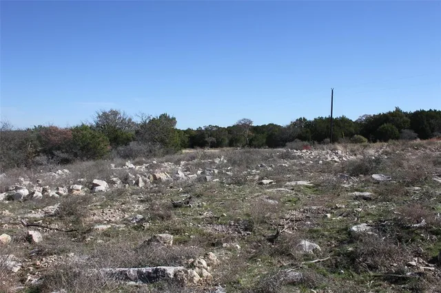 a view of a field with trees in background