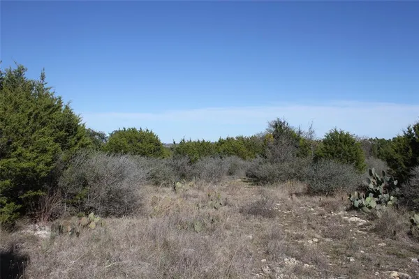 a view of a dry yard with trees