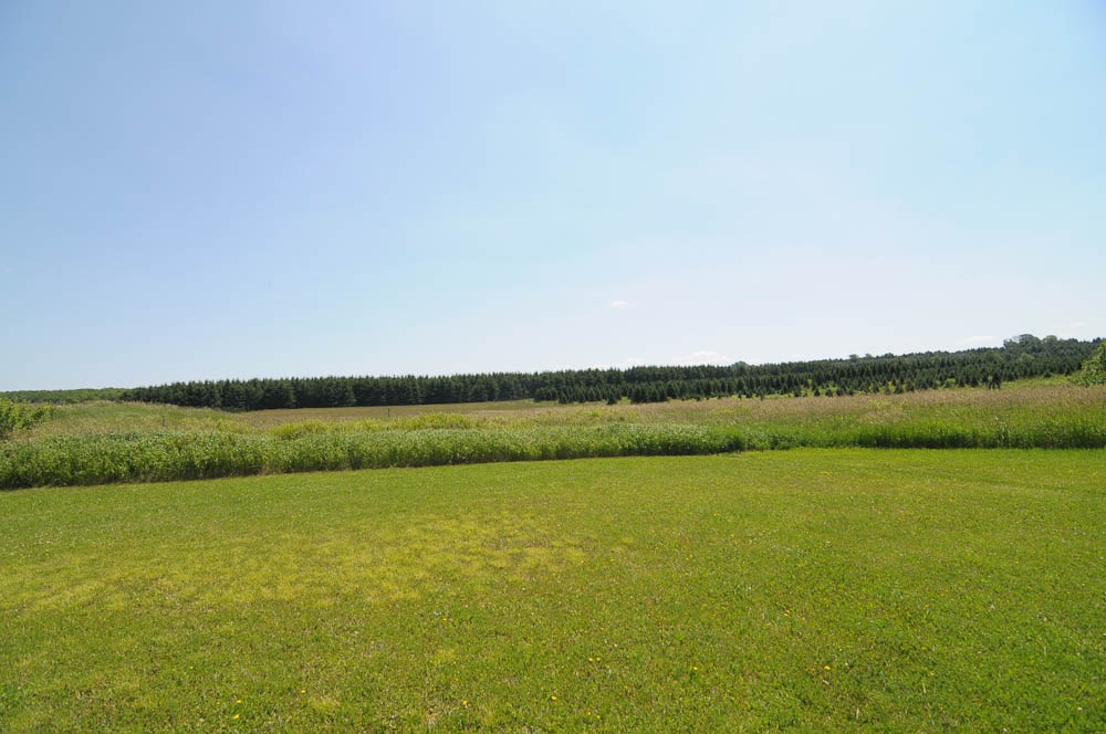 8633 South Call Road McBain, MI 49657 - Photo 47 of 69 1835117-46.JPG
