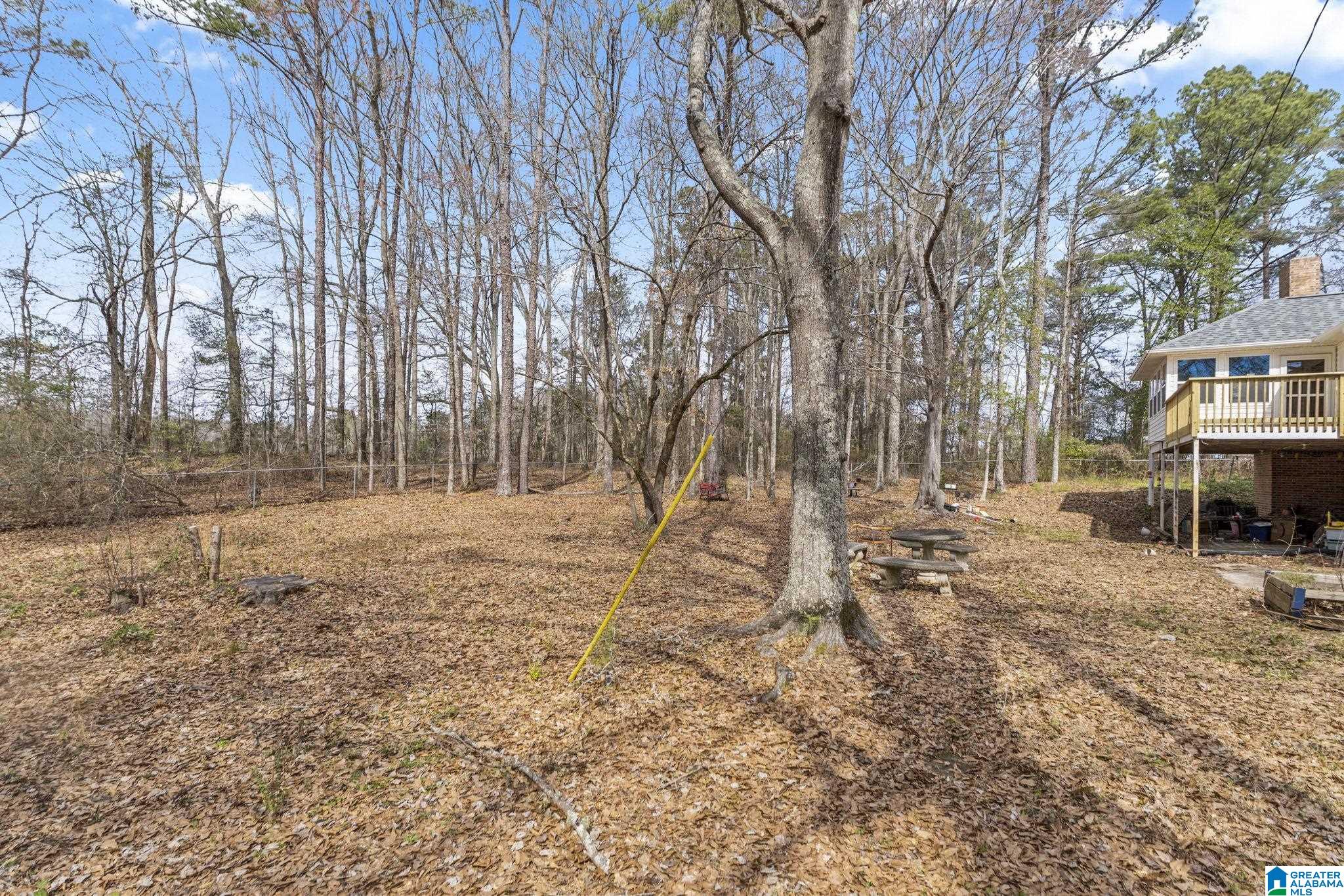 787 Thompson Chapel Road Jemison, AL 35085 - Photo 7 of 48