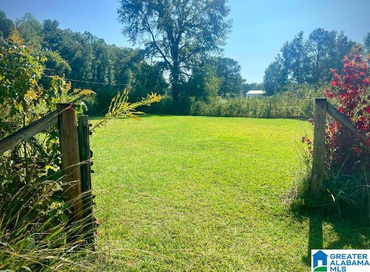 23400 East Highway 18 Berry, AL 35546 - Photo 2 of 18