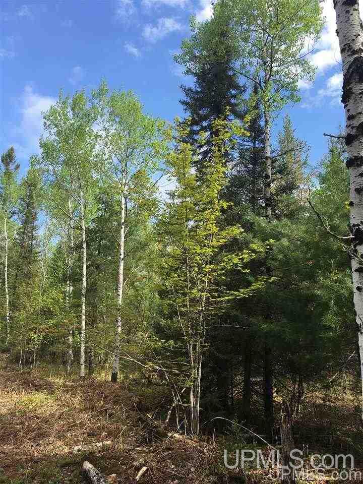 80-acres 80-acres Off Red Road Negaunee, MI 49866 - Photo 6 of 8