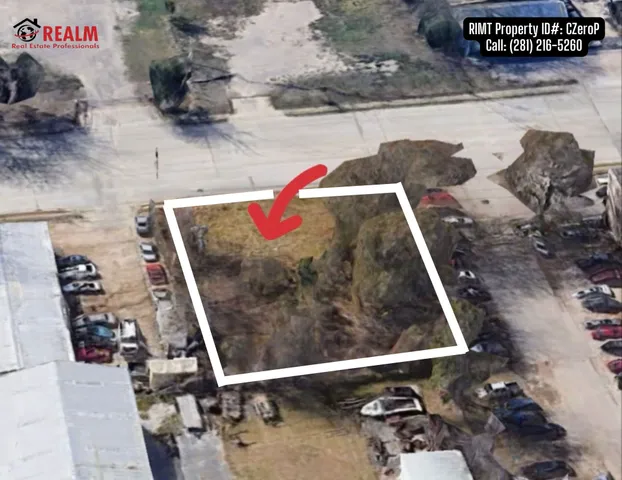 a view of a yard with plants and trees