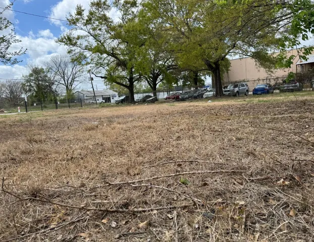 a view of a yard with trees