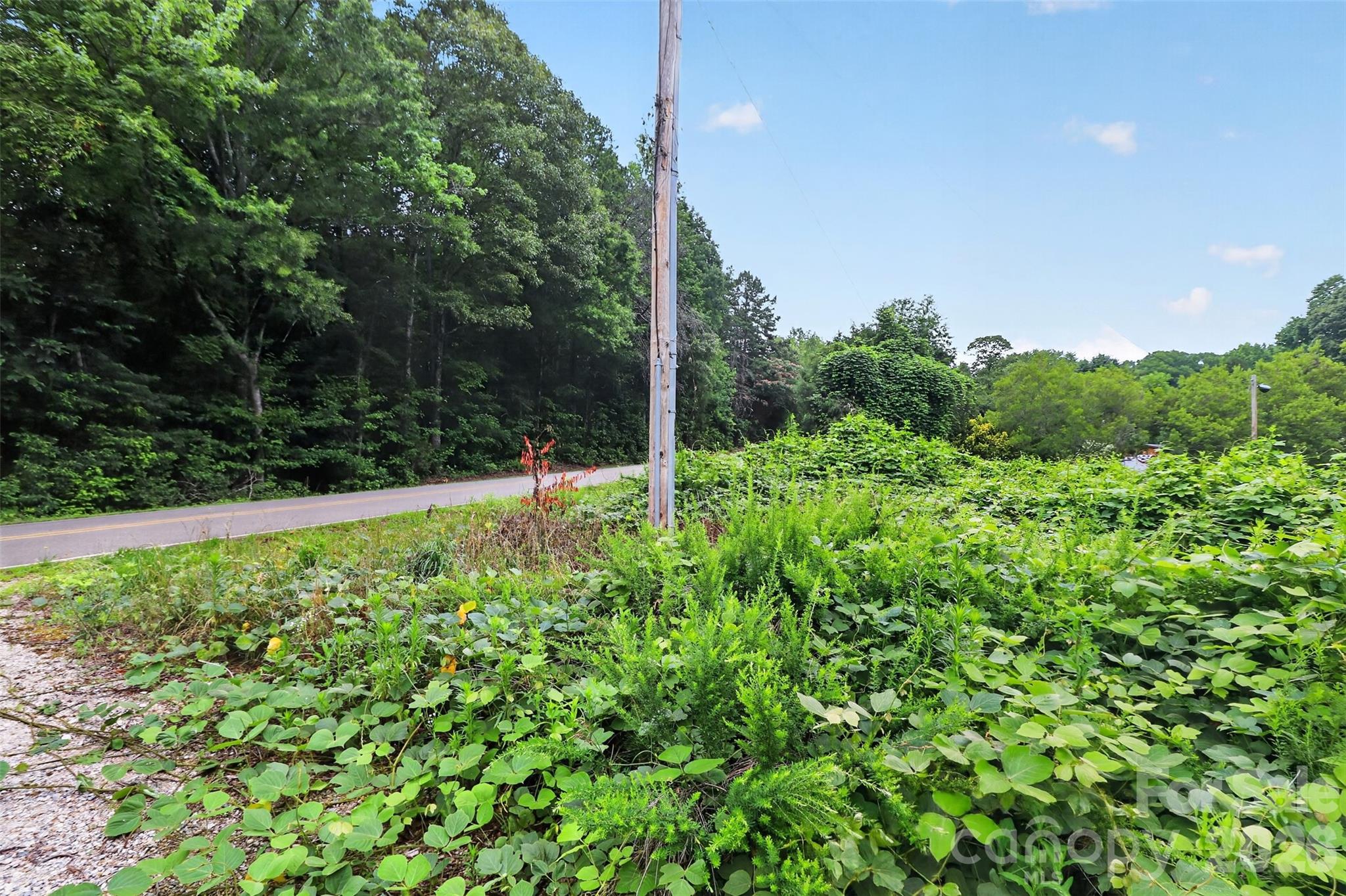 187 Alexander Acres Road Mooresville, NC 28115 - Photo 7 of 9