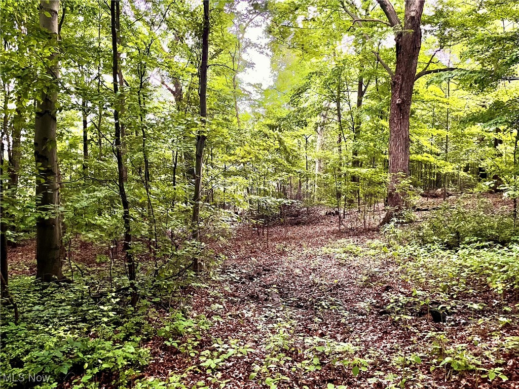 9435 Coit Road Mantua, OH 44255 - Photo 36 of 38 Private Wooded Acreage