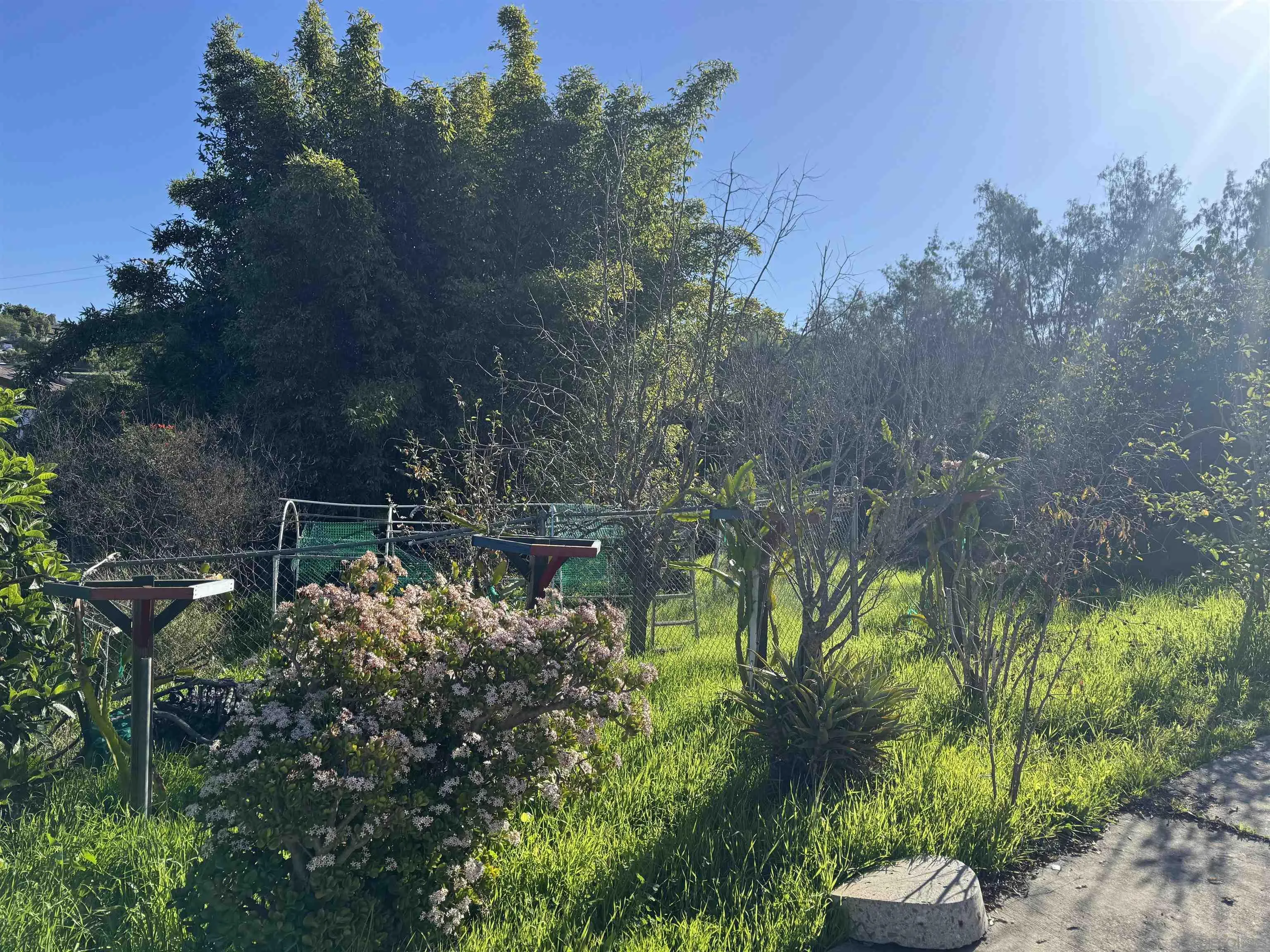 9317 Lamar Street Spring Valley, CA 91977 - Photo 3 of 30