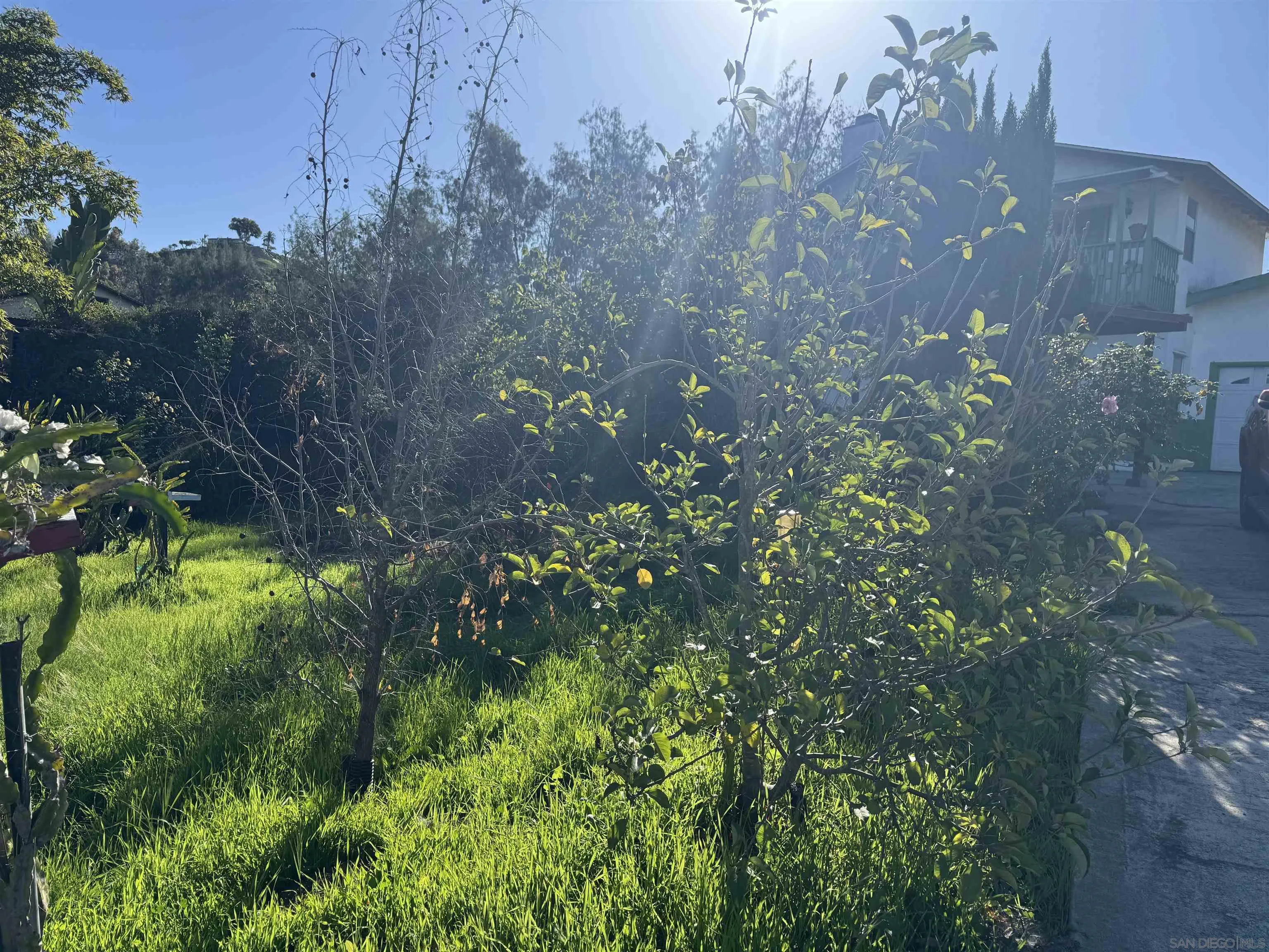 9317 Lamar Street Spring Valley, CA 91977 - Photo 4 of 30