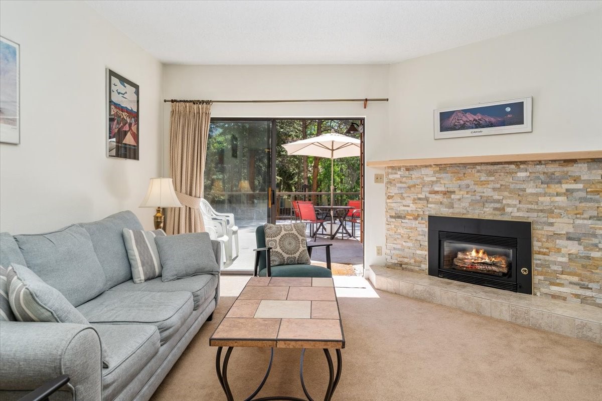 720 Columbine Road, Unit 104 Breckenridge, CO 80424 - Photo 5 of 28