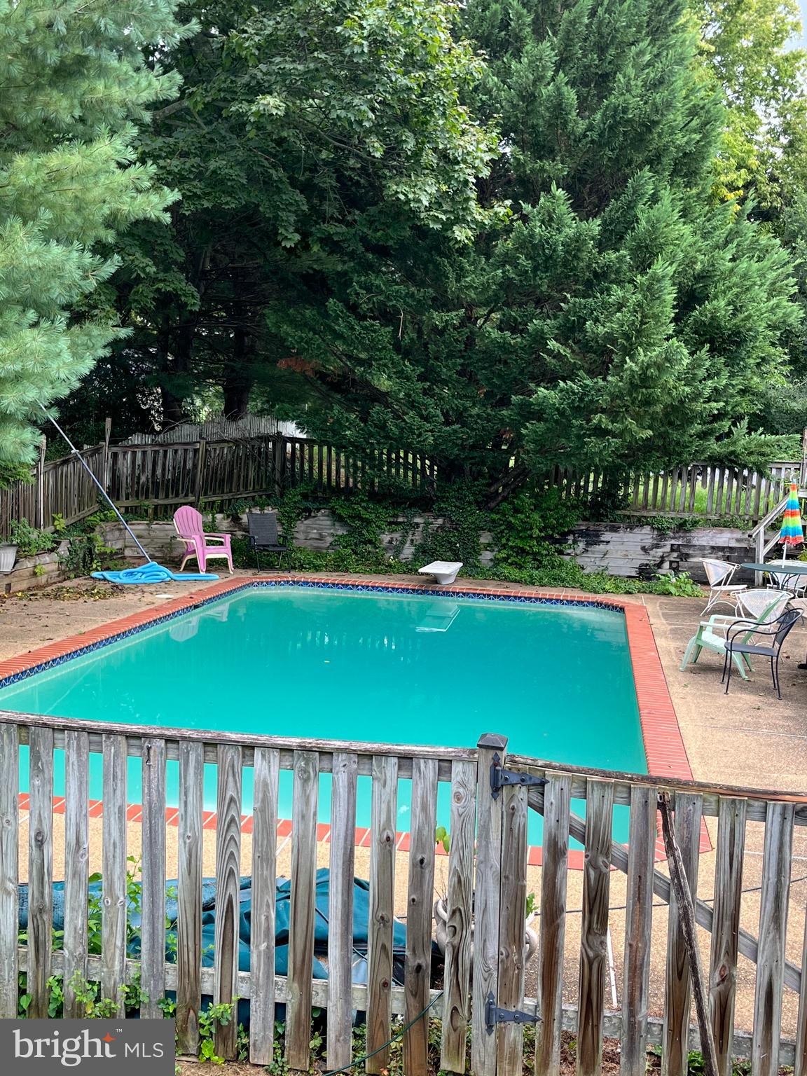 521 South Main Street Woodstock, VA 22664 - Photo 3 of 19