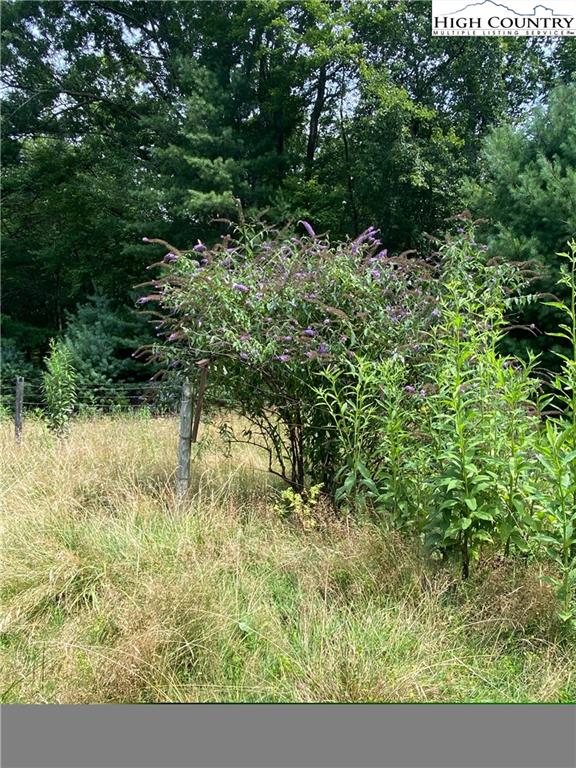 363 Hudson Road Sparta, NC 28675 - Photo 19 of 32 Gallery Image 19