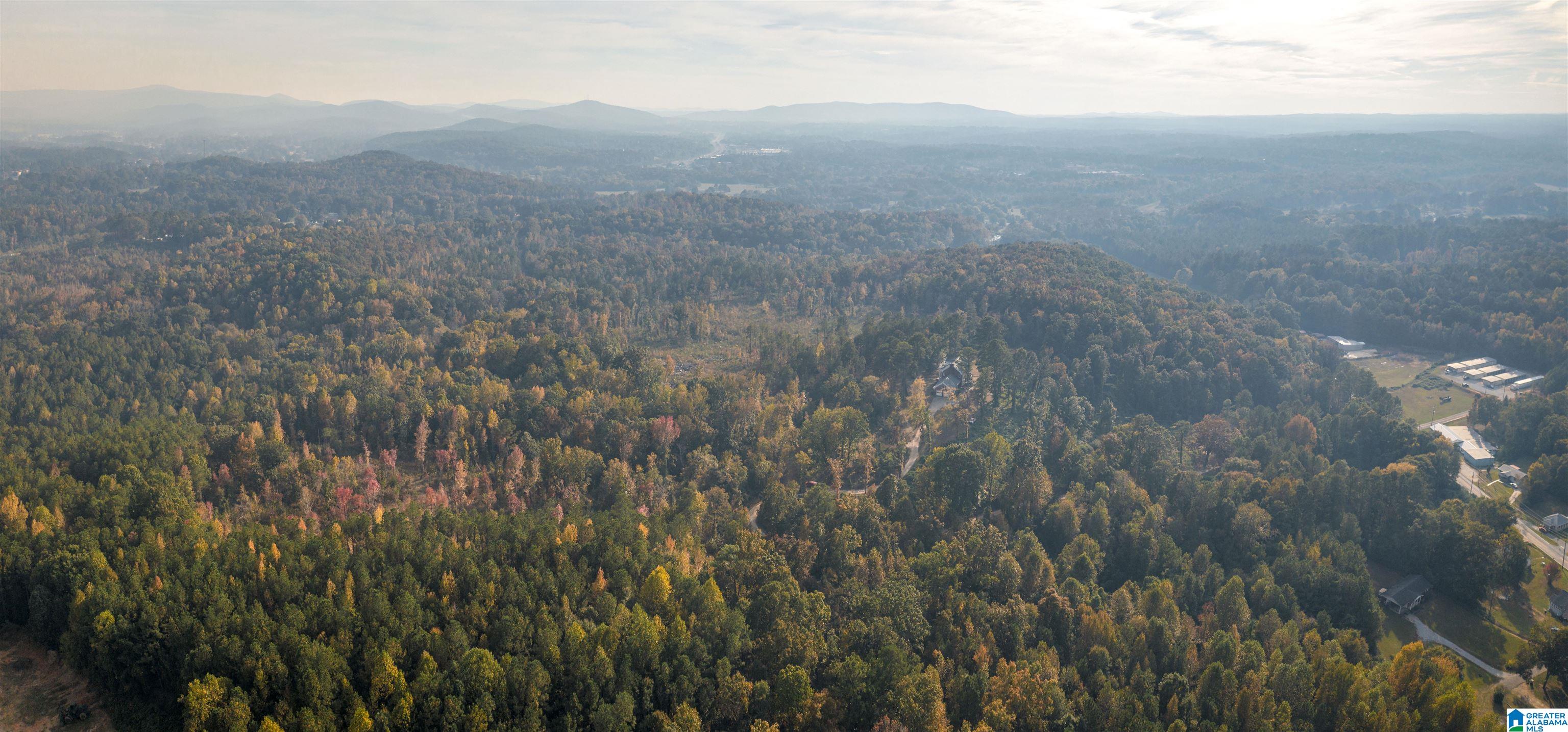 201 Cave Hill Road Weaver, AL 36277 - Photo 73 of 78