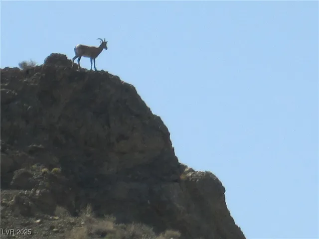 $1,395,000 | 26425 Park Street, Nelson, NV 89046