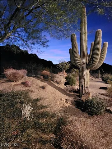 $1,395,000 | 26425 Park Street, Nelson, NV 89046