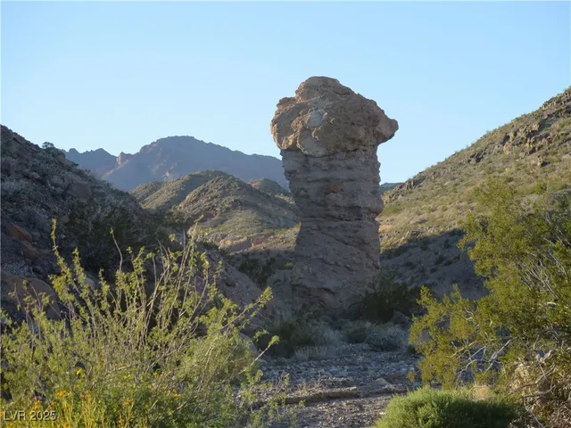 $1,395,000 | 26425 Park Street, Nelson, NV 89046