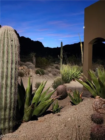 $1,395,000 | 26425 Park Street, Nelson, NV 89046