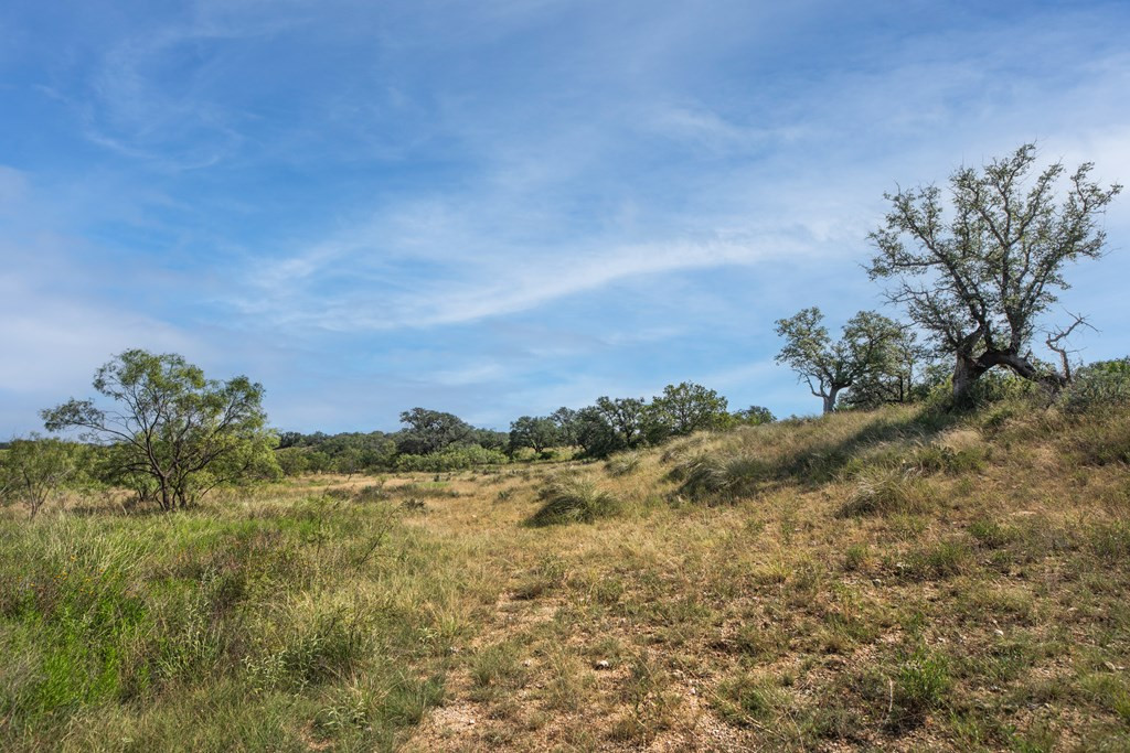 2250 Buck Ridge Melvin, TX 76858 - Photo 6 of 6 Photo 7