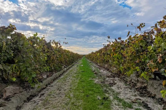 a view of a pathway with a garden