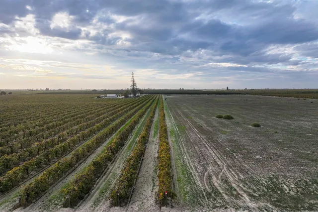 a view of an ocean beach