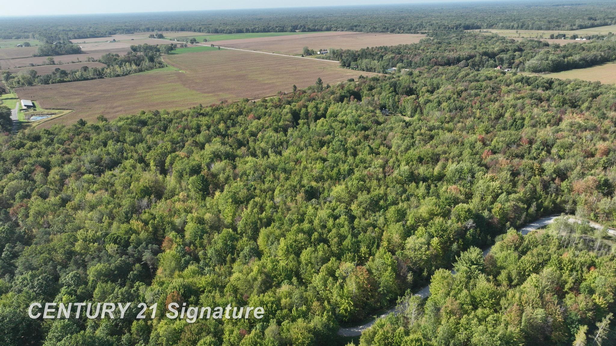 3143 South Homer Road Merrill, MI 48637 - Photo 18 of 43