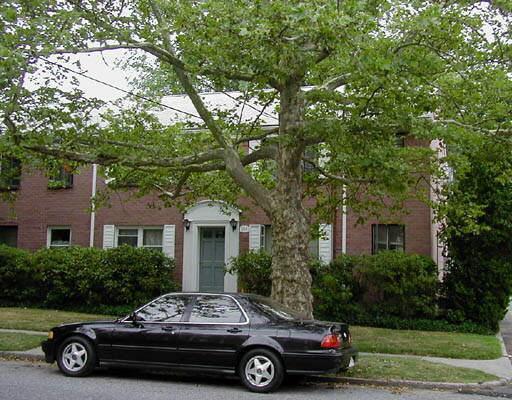 241 Seaton Road, Unit 3 Stamford, CT 06902 - Photo 1 of 1 Gallery Image 1
