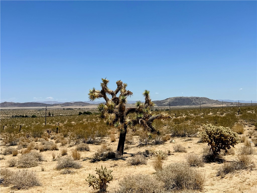 64200 Sullivan Road Joshua Tree, CA 92252 - Photo 6 of 8 a view of lake view and mountain view