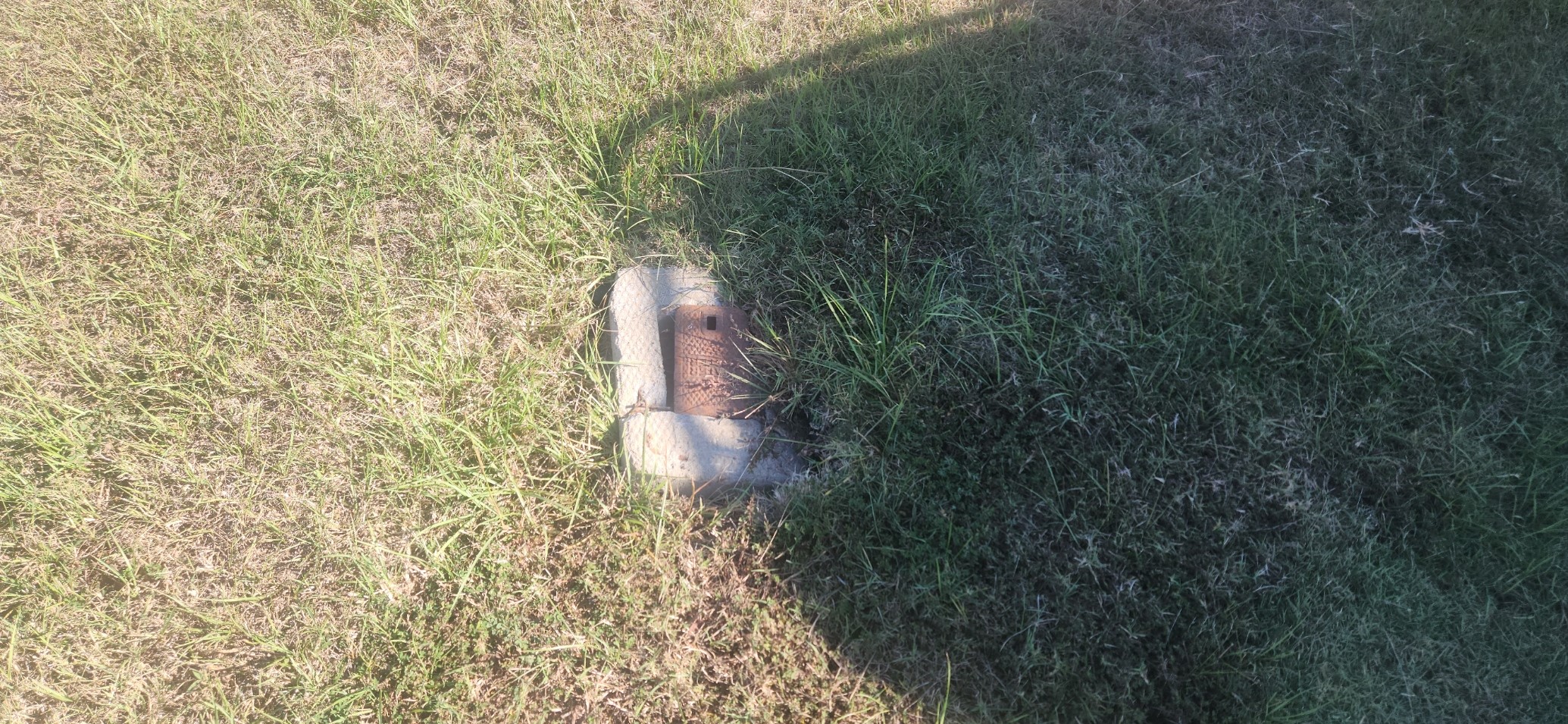 405 East Webster Street Jefferson, TX 75657 - Photo 3 of 3 a close up of a plant