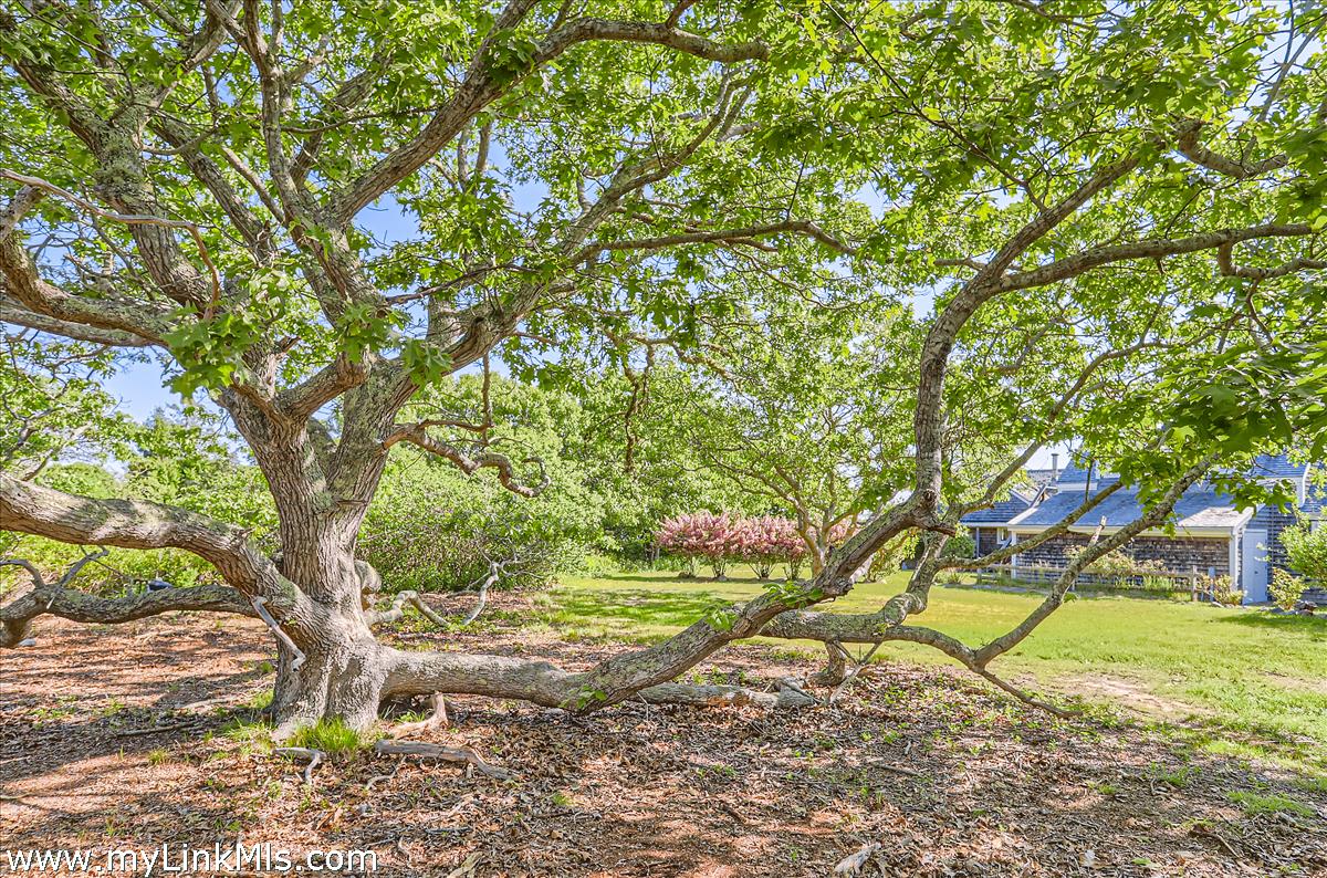 146 Quansoo Road Chilmark, MA 02535 - Photo 12 of 37