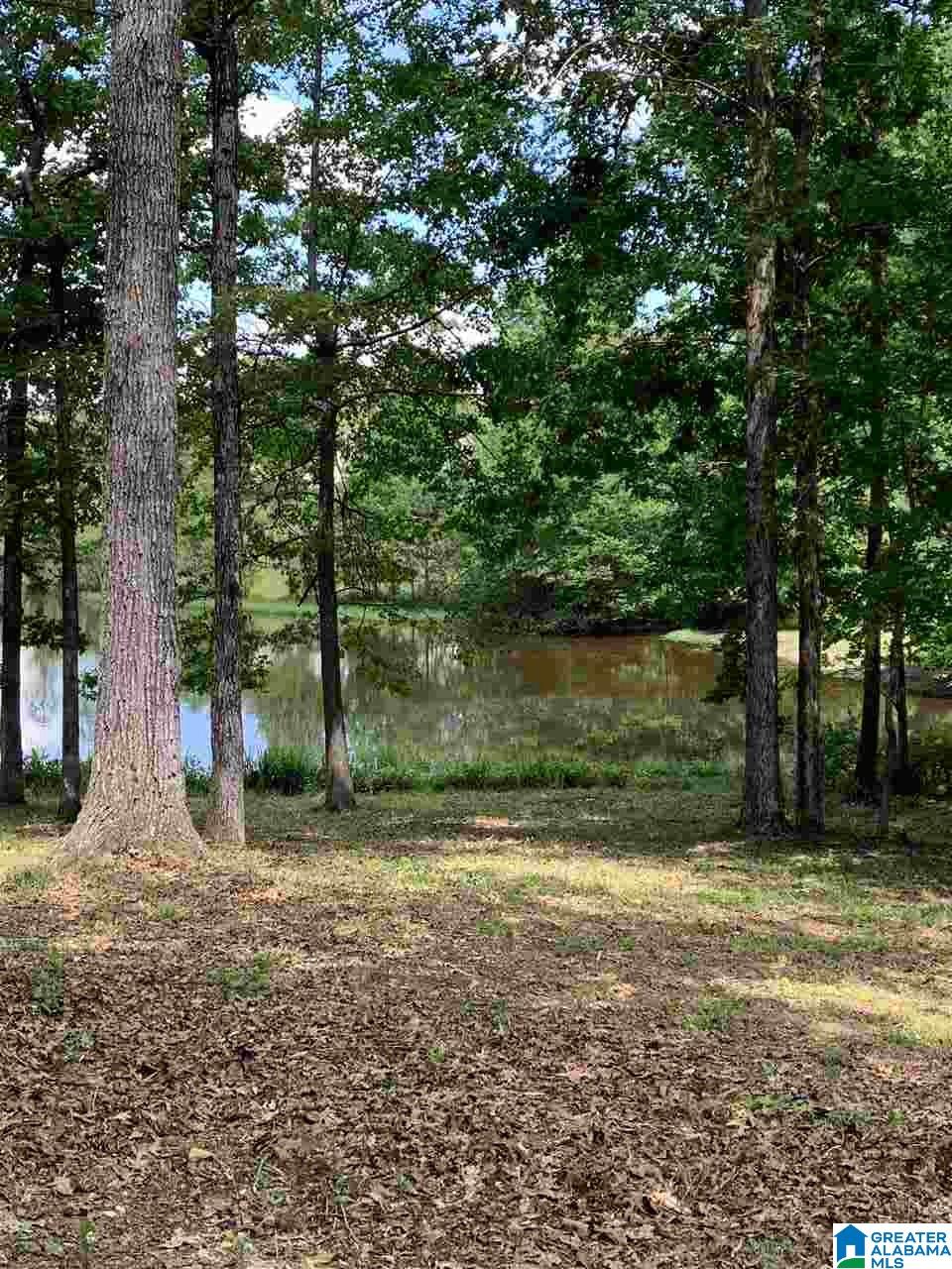 150 County Road 925 Jemison, AL 35085 - Photo 3 of 6