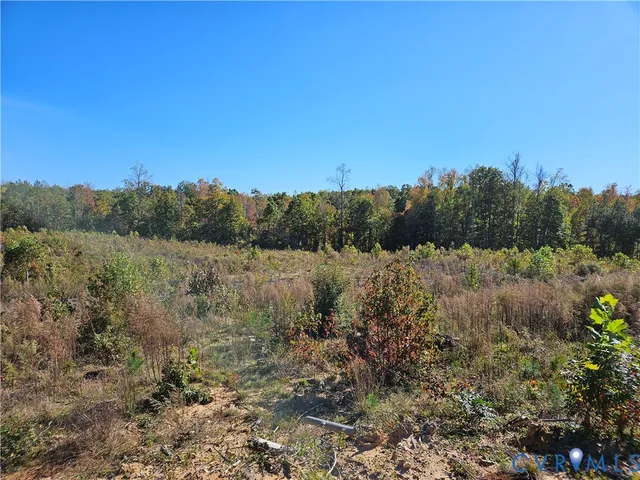 a view of a lake with a mountain in the background