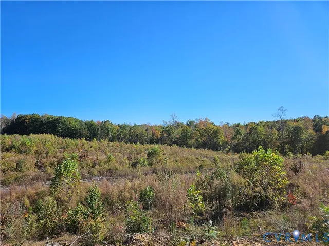 a view of mountain with trees in the background