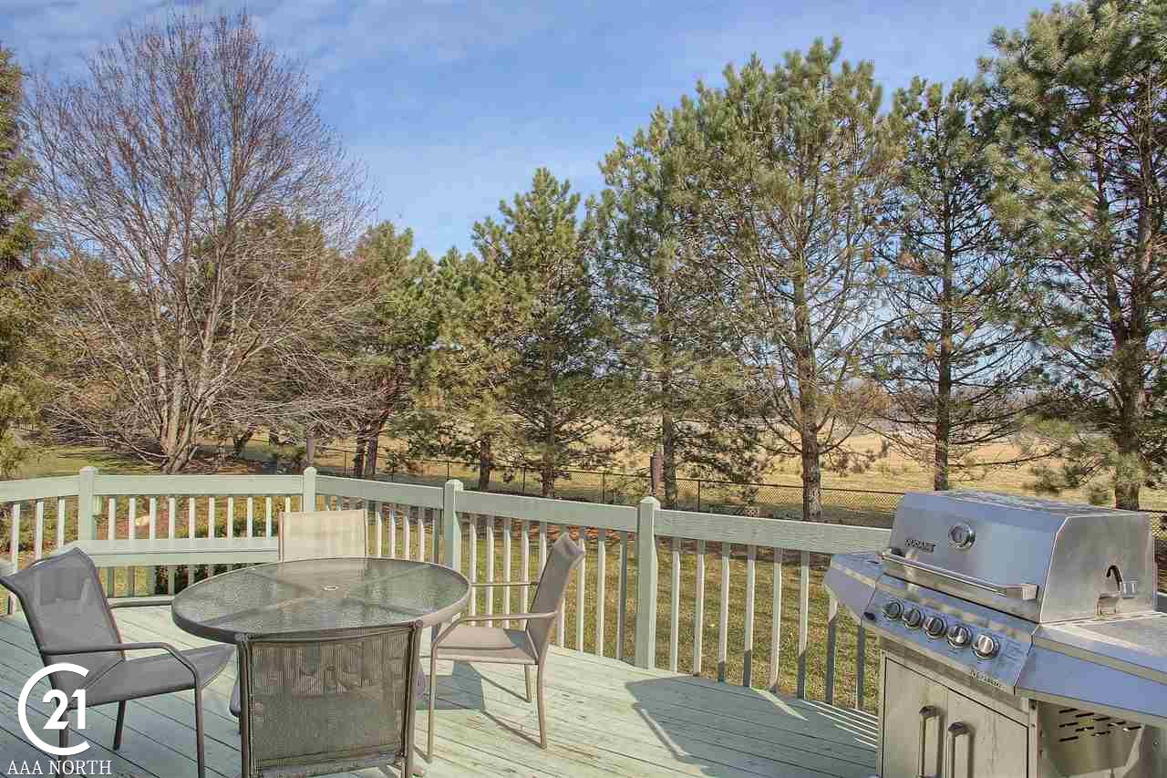 1399 Lakeview Drive Rochester Hills, MI 48306 - Photo 29 of 51
