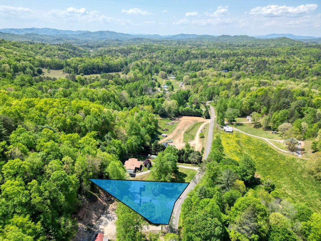832 Canyon Road Marble, NC 28905 - Photo 2 of 48