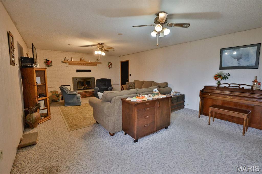 21310 School House Avenue Fillmore, IL 62032 - Photo 23 of 50