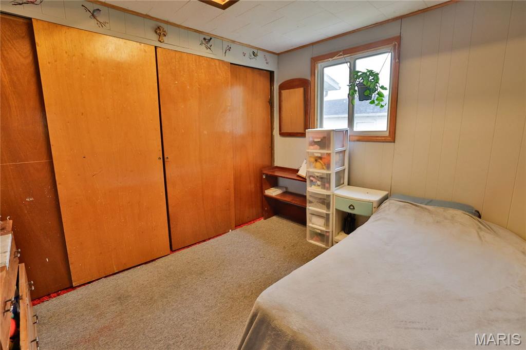 21310 School House Avenue Fillmore, IL 62032 - Photo 42 of 50