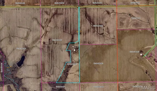 $275,000 | 21310 School House Avenue, Fillmore, IL 62032