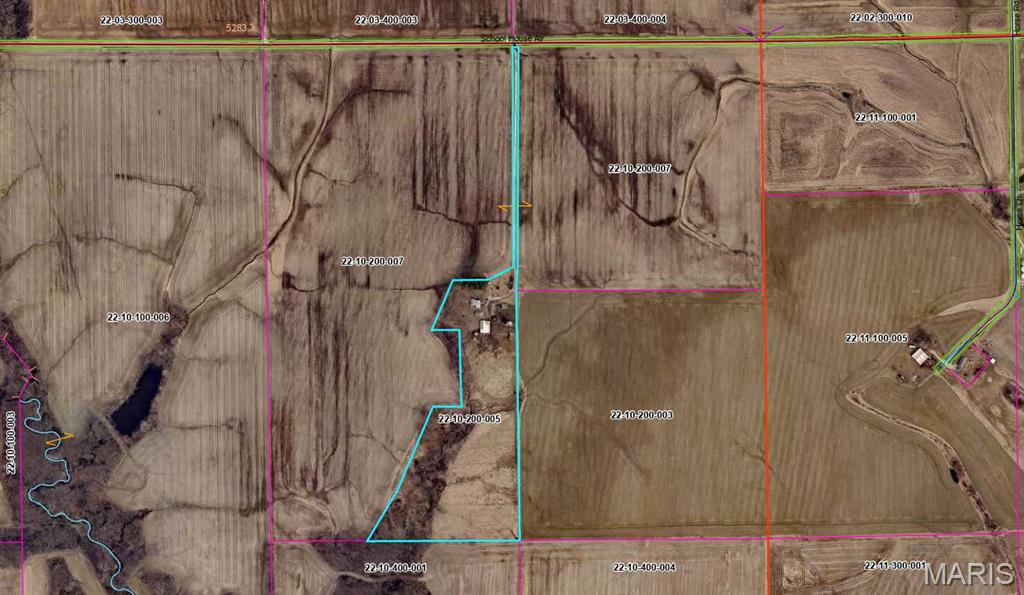 21310 School House Avenue Fillmore, IL 62032 - Photo 49 of 50