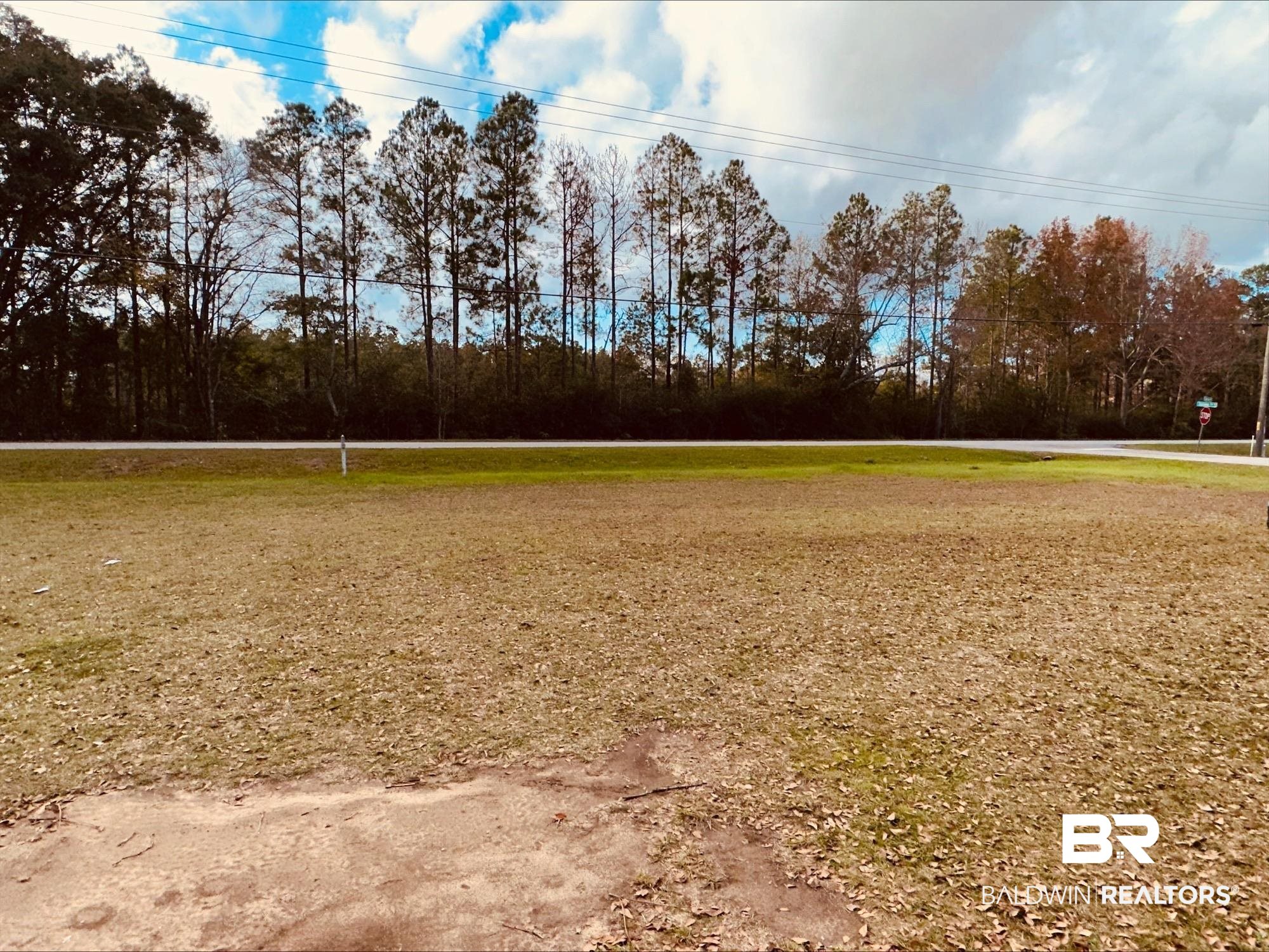 13210 Celeste Road Chunchula, AL 36521 - Photo 11 of 14 Front yard