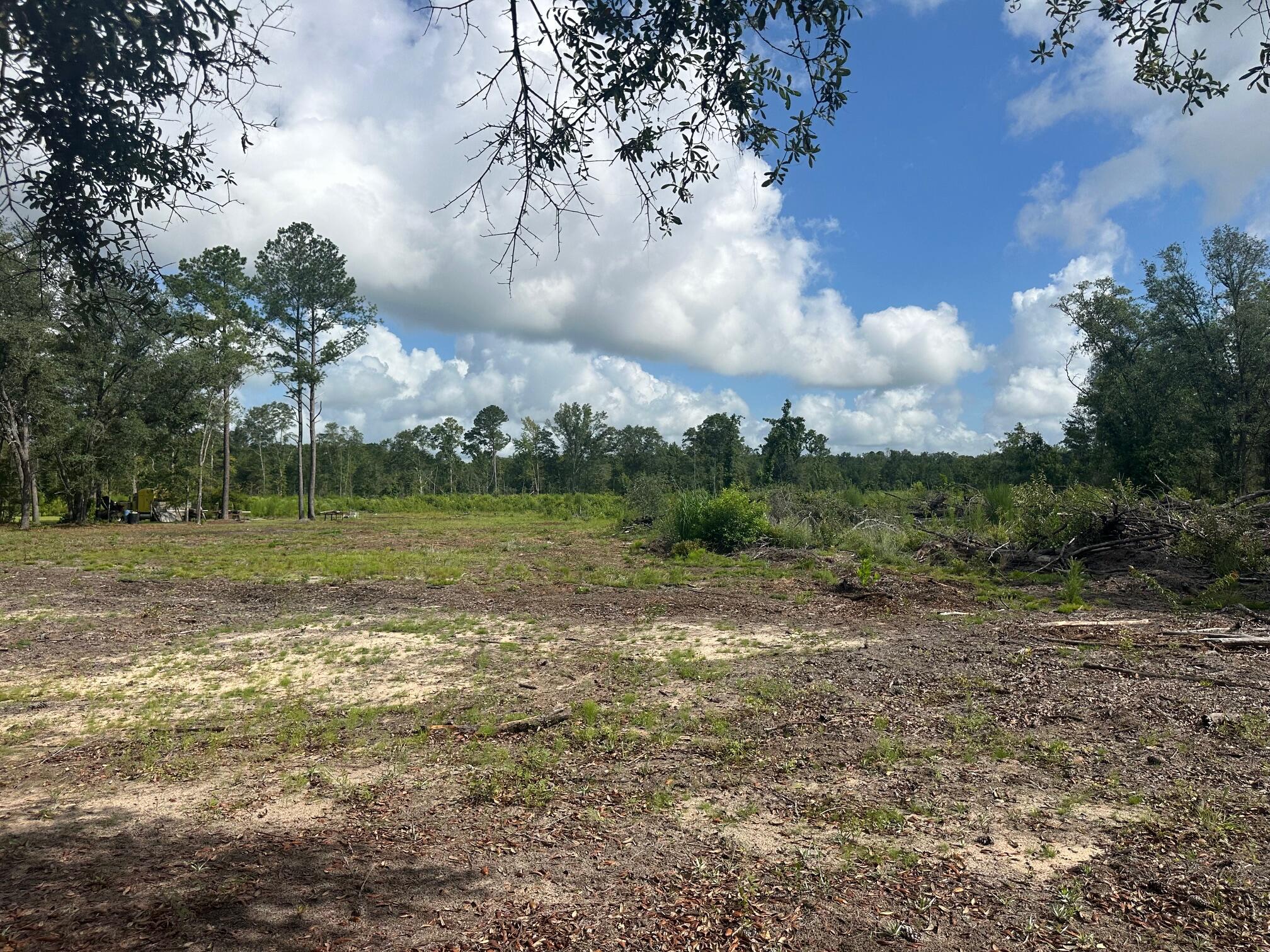 0 Utsey Hill Road St. George, SC 29477 - Photo 4 of 6 IMG_3450