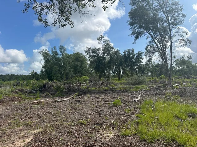 $350,000 | 0 Utsey Hill Road, St. George, SC 29477