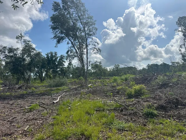 $350,000 | 0 Utsey Hill Road, St. George, SC 29477