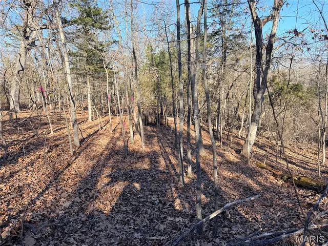 $20,000 | 0 Holly Drive, St. Robert, MO 65584