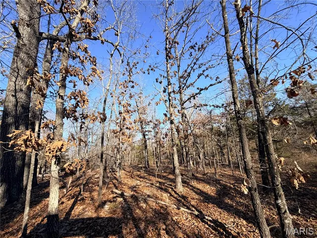 $20,000 | 0 Holly Drive, St. Robert, MO 65584