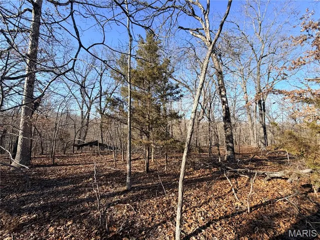 $20,000 | 0 Holly Drive, St. Robert, MO 65584