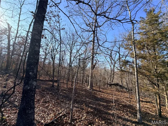 $20,000 | 0 Holly Drive, St. Robert, MO 65584