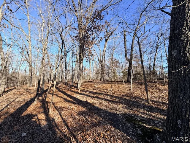 $20,000 | 0 Holly Drive, St. Robert, MO 65584